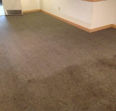 Excellent Carpet Care